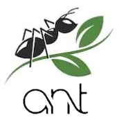 Ant's Home Services